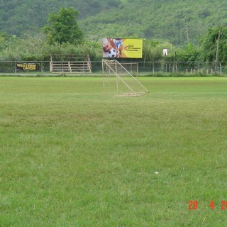 Fields