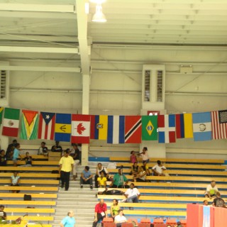 Pan Am Junior Badminton Championships