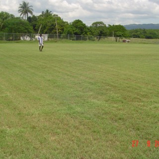 Fields