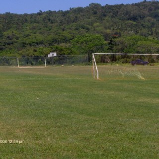 Fields