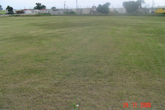Fields