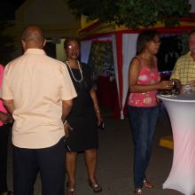 20th Anniversary Mix & Mingle