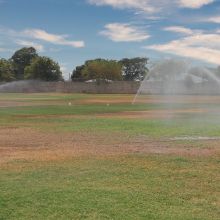 Thirsty Field