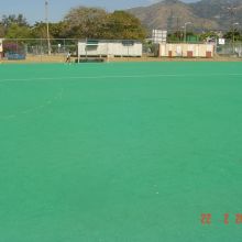 Mona Hockey Field