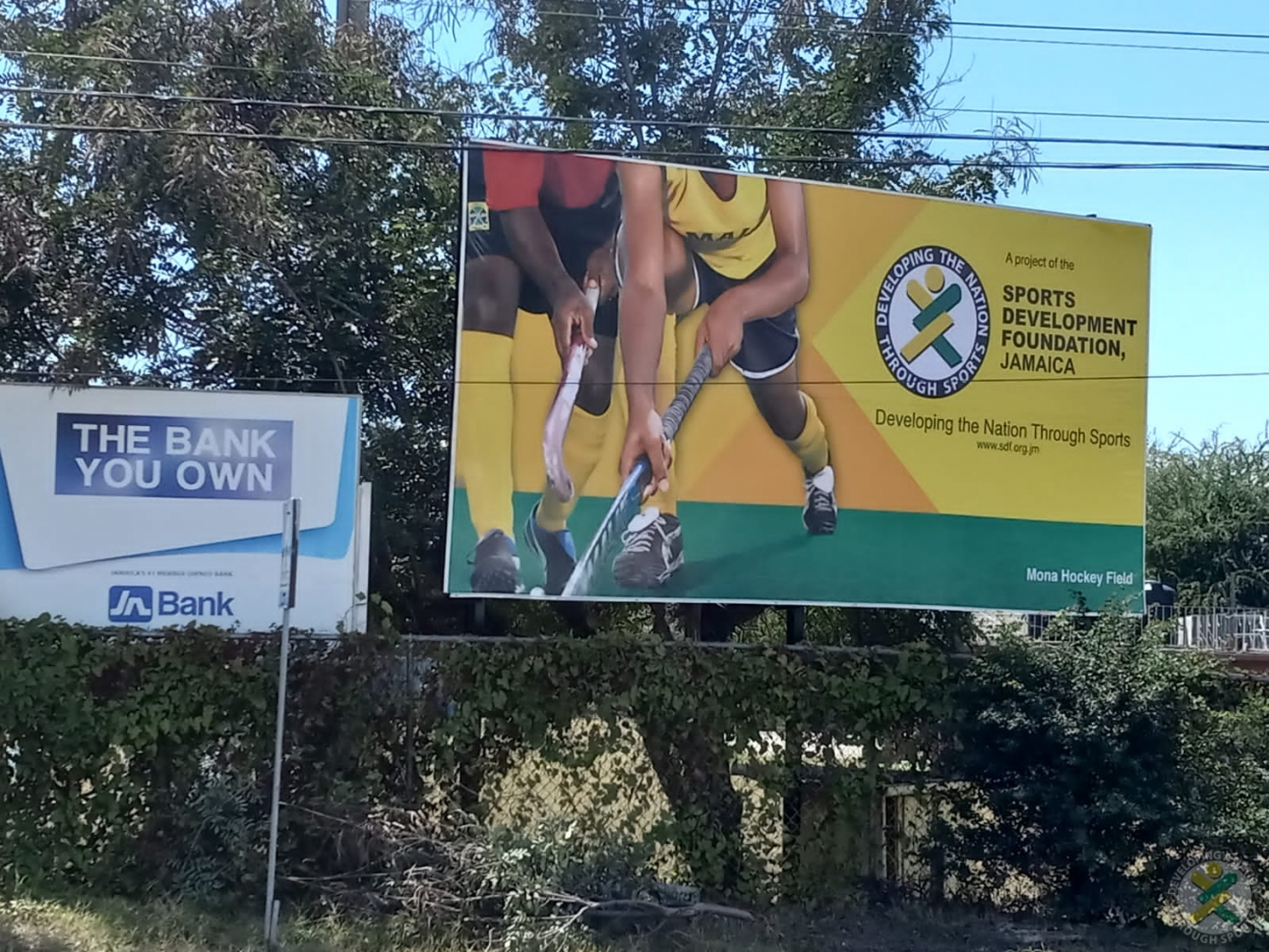 Close-up Billboard View