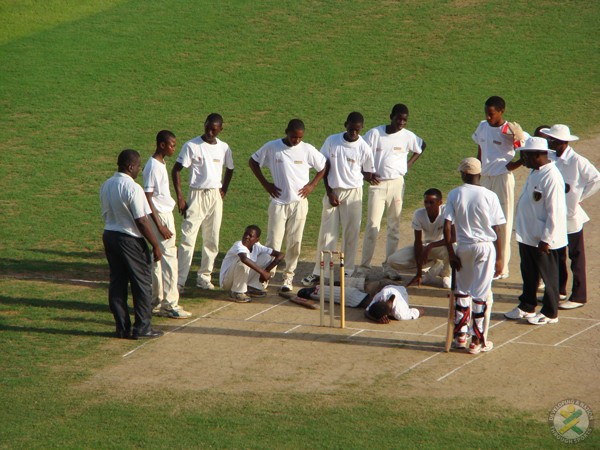 Cricket Competition