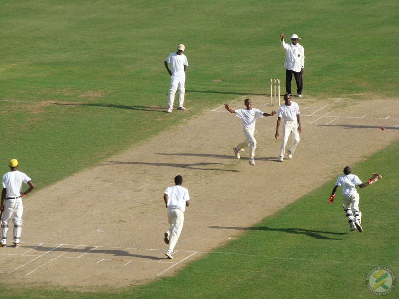 Cricket Competition