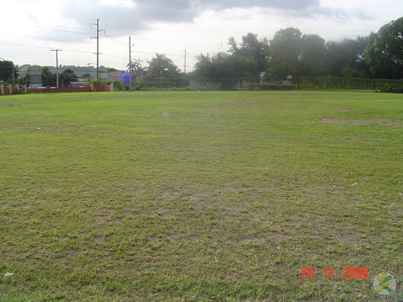 clarendon college High School, Clarendon JA