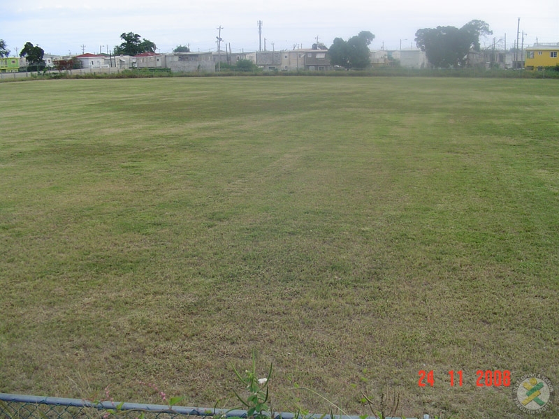 Camperdown Field, Kingston JA