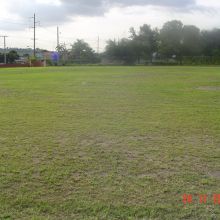 clarendon college High School, Clarendon JA