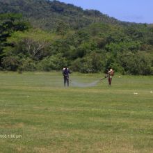 Eden garden Park, St. Mary JA (being sprayed)