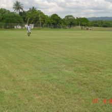 Braes River, St. Elizabeth JA