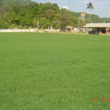 Clembhards park, Port Maria, St. Mary JA