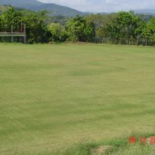 clarendon college High School, Clarendon JA 