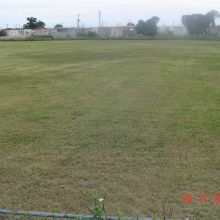 Camperdown Field, Kingston JA